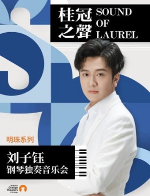 2025刘子钰郑州音乐会