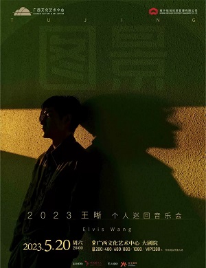 王晰南宁演唱会