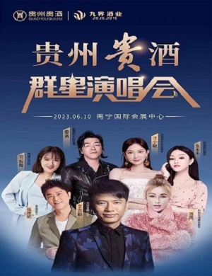 贵州贵酒南宁群星演唱会
