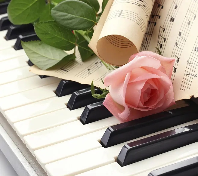 2023李畅辛钰郑州音乐会（6月18日）时间、地点、门票