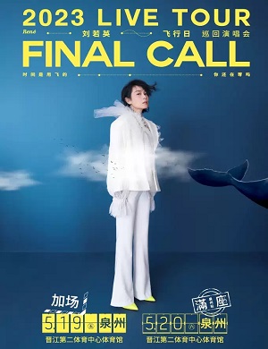 刘若英泉州演唱会