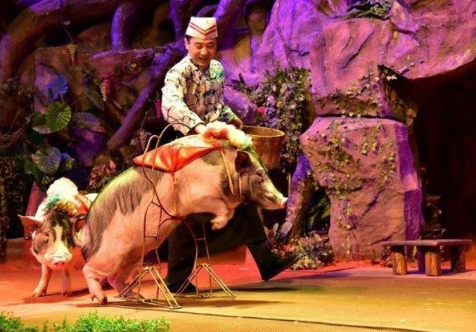 2023快乐童年·超级马戏-国际马戏小丑六一嘉年华-北京站 2023快乐童年·超级马戏-国际马戏小丑六一嘉年华-北京站