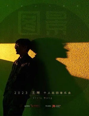 王晰深圳演唱会