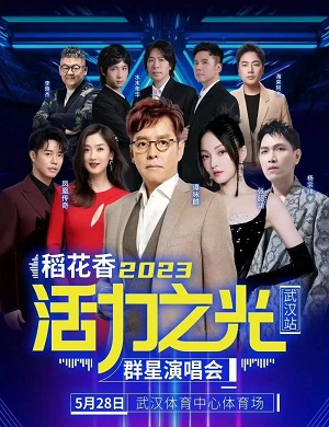 2025活力之光武汉群星演唱会