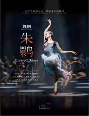 2025舞剧朱鹮上海站