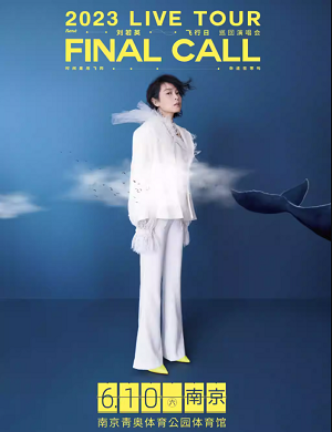 刘若英南京演唱会