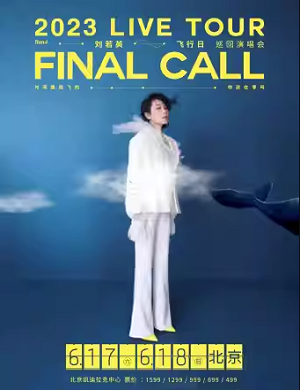 刘若英北京演唱会