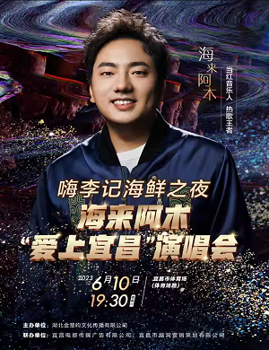 2025海来阿木宜昌演唱会