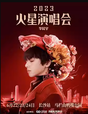 2025华晨宇长沙演唱会