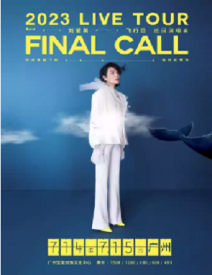 刘若英广州演唱会