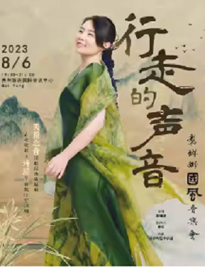 龚琳娜贵阳演唱会