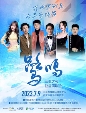 2025三亚之夜群星演唱会