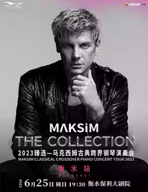 马克西姆衡水音乐会
