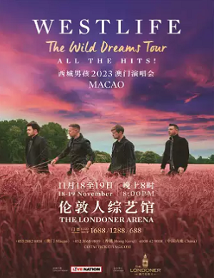 西城男孩澳门演唱会