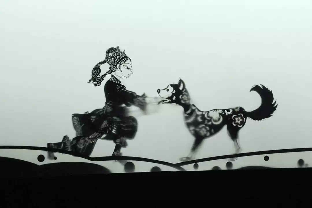 2023皮影戏《花木兰》郑州站（7月8日）时间、地点、门票价格、演出详情