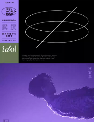 林宥嘉武汉演唱会