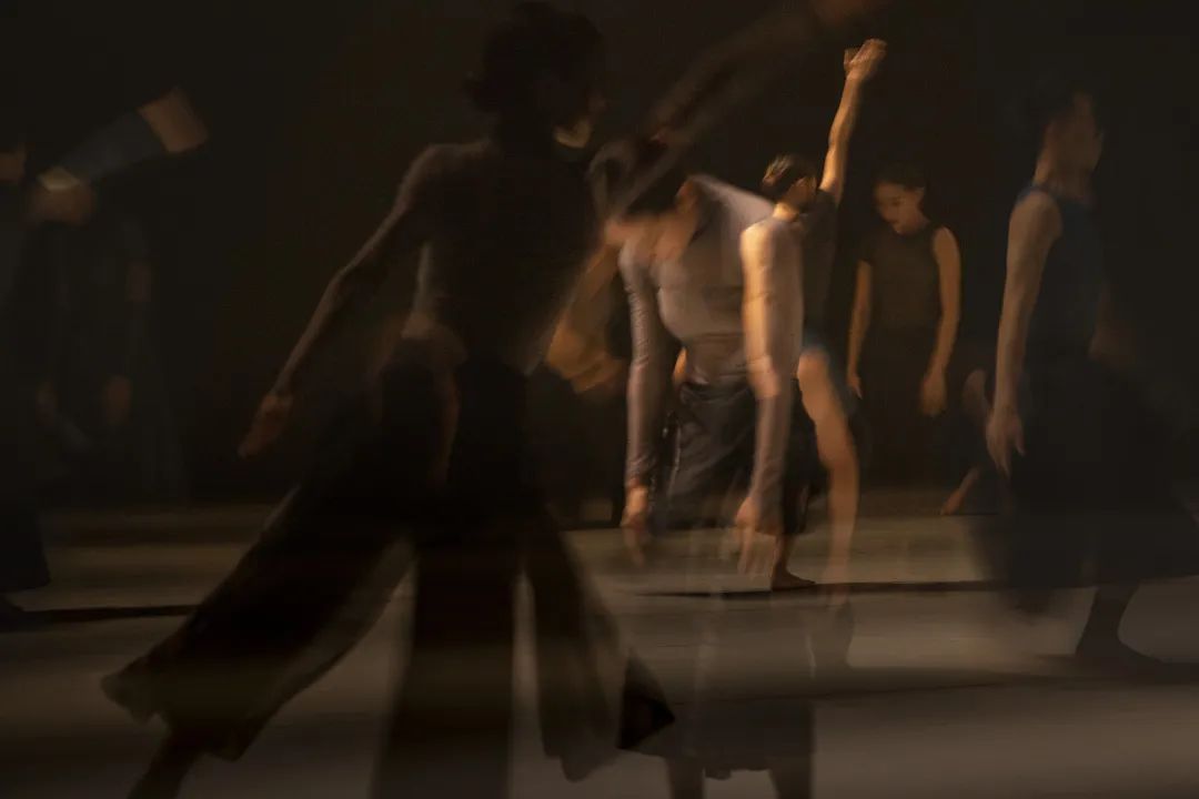 2023现代舞《宿》深圳站（7月19日）演出详情（时间、地点、门票价格）