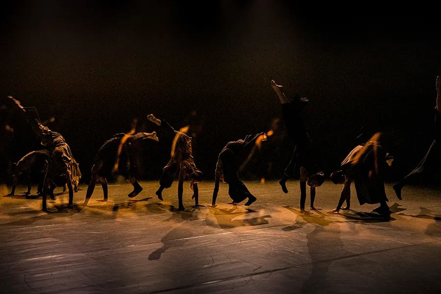 2023现代舞《宿》深圳站（7月19日）演出详情（时间、地点、门票价格）