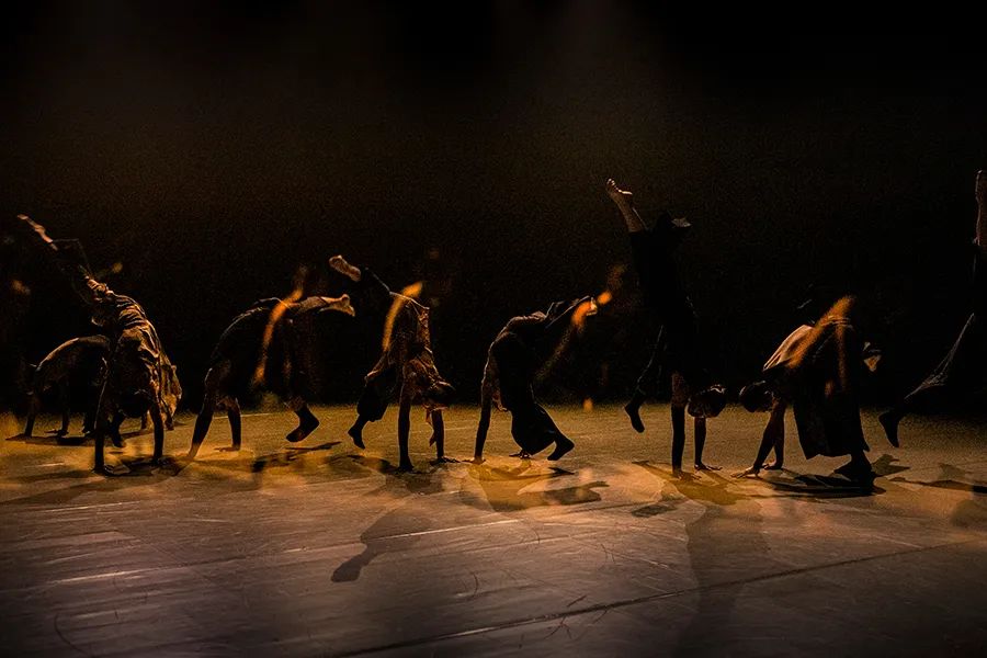 2023现代舞《宿》深圳站（7月19日）演出详情（时间、地点、门票价格）