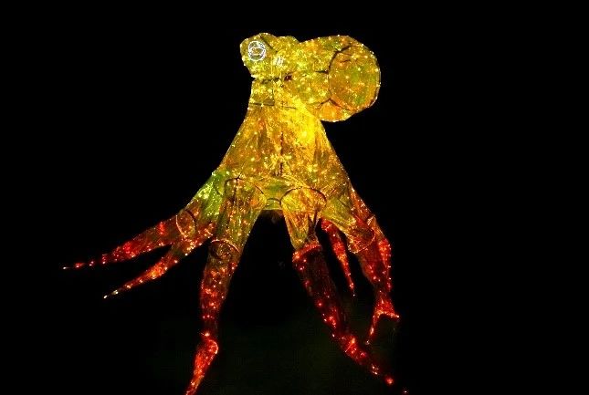 2023儿童剧《光》深圳站（9月23日）(时间+地点+票价)订票指南