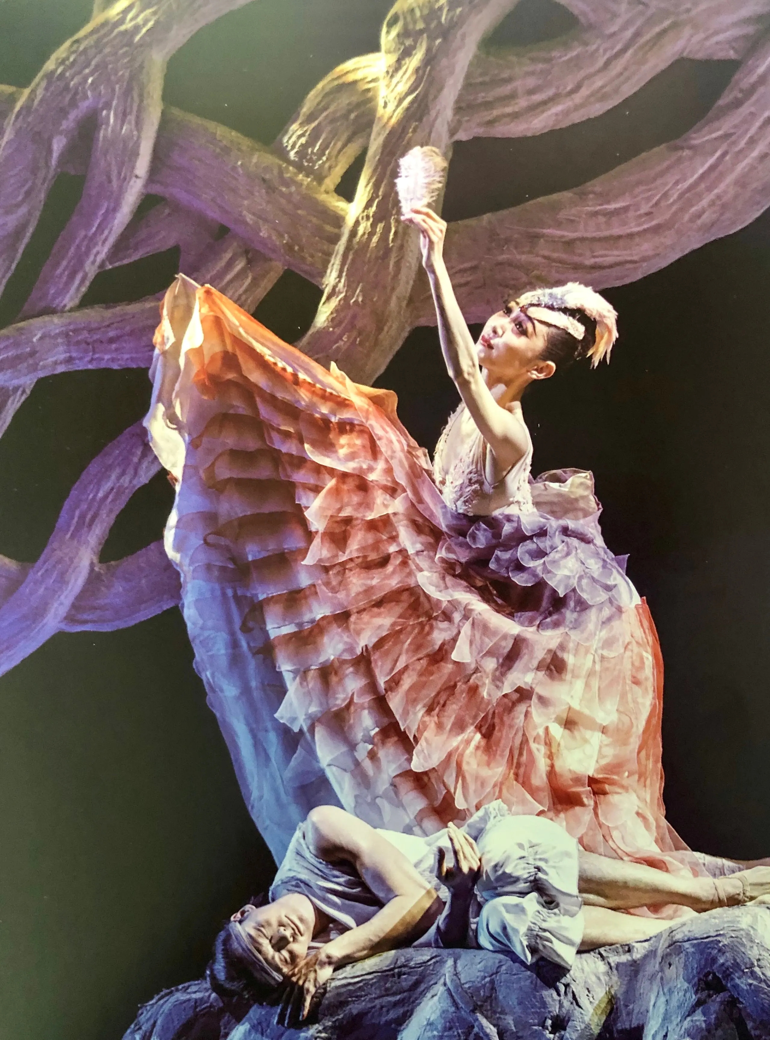 2023舞剧《朱鹮》成都站（9月15日-16日）行程安排及购票指南