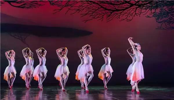 2023舞剧《朱鹮》成都站（9月15/16日）时间、地点、门票价格