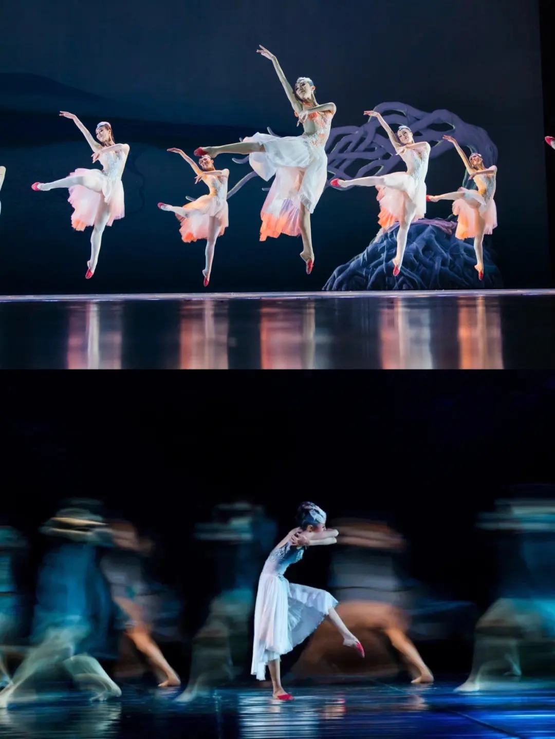 2023舞剧《朱鹮》成都站（9月15日-16日）行程安排及购票指南