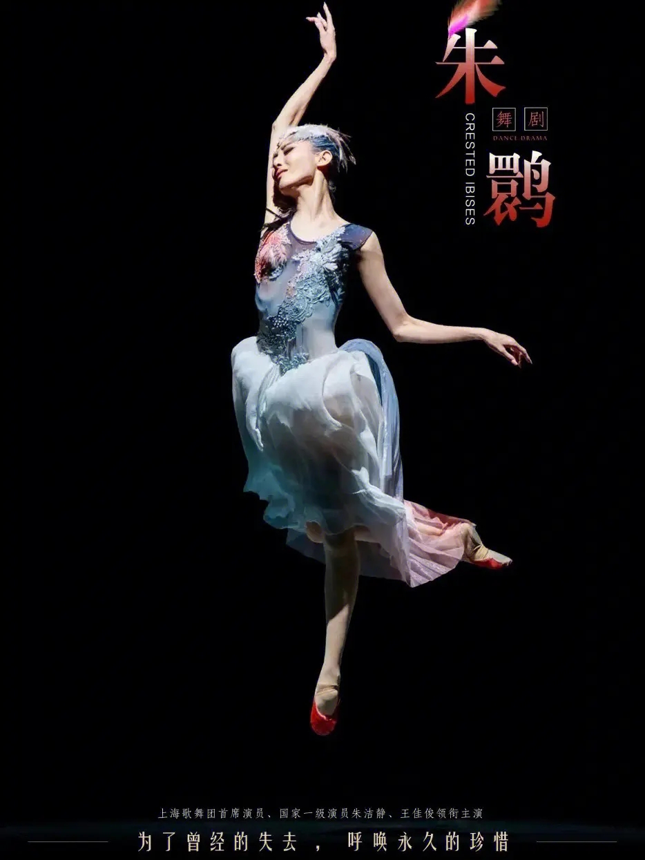2023舞剧《朱鹮》成都站（9月15日-16日）行程安排及购票指南