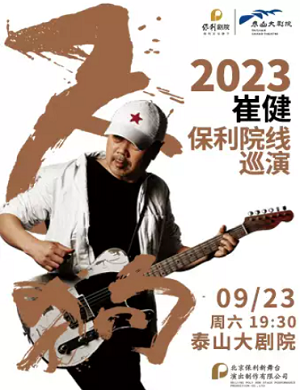 2025崔健泰安演唱会