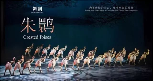 2023舞剧《朱鹮》成都站（9月15/16日）(时间+地点+票价)订票指南