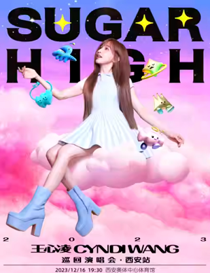 王心凌西安演唱会