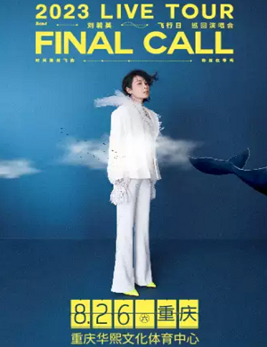 刘若英重庆演唱会