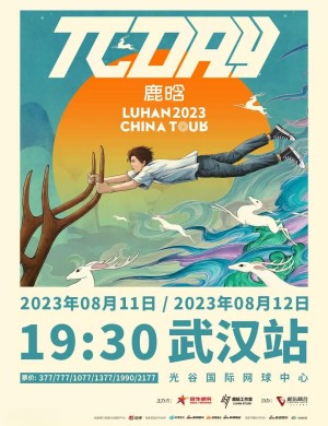 鹿晗武汉演唱会