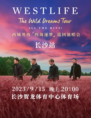 2025西城男孩长沙演唱会