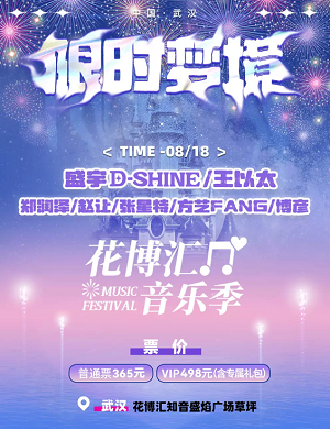 2025武汉限时梦境烟花音乐季