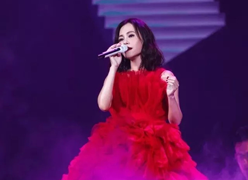 2023红星江山映“彭佳慧&游鸿明”明星歌友会-衡阳站