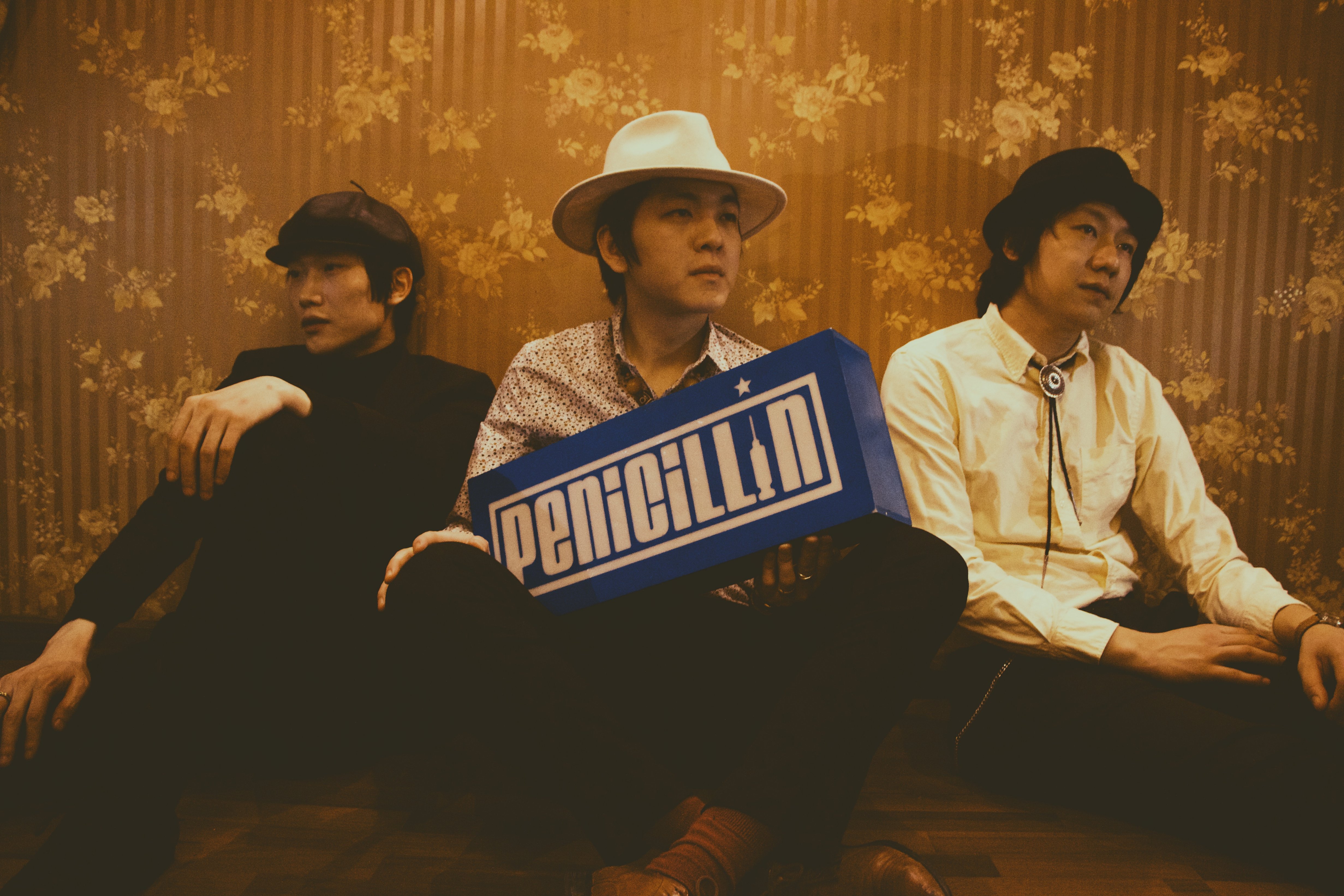 2023石家庄抖音音乐派对（9月23/24日）演出阵容、订票方式、购票入口