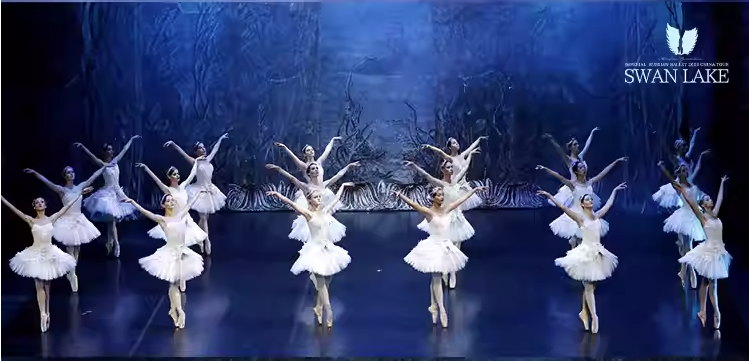2023舞剧《天鹅湖》长春站（12月08日）（时间+场馆+订票）