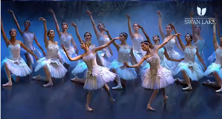 2023舞剧《天鹅湖》长春站（12月08日）（时间+场馆+订票）