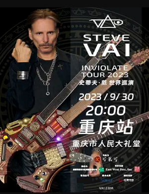 2025史蒂夫范重庆演唱会