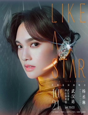 杨丞琳武汉演唱会