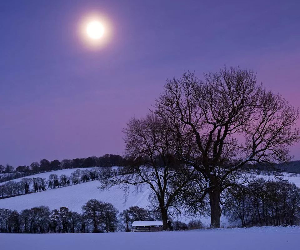 2023戏剧《雪》嘉兴站（10月26日-28日）票价、地点、时间