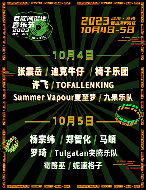 2025潍坊巨淀湖湿地音乐节