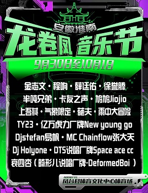 2025安徽淮南凤台龙卷凤音乐节