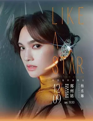 杨丞琳郑州演唱会