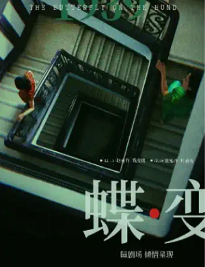 2025音乐剧蝶变武汉站