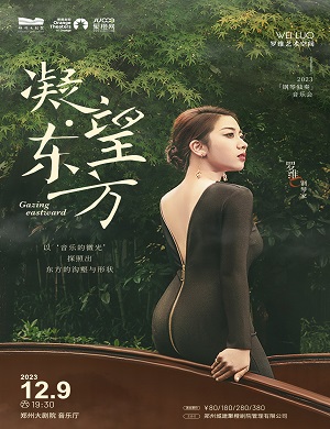 罗维郑州音乐会