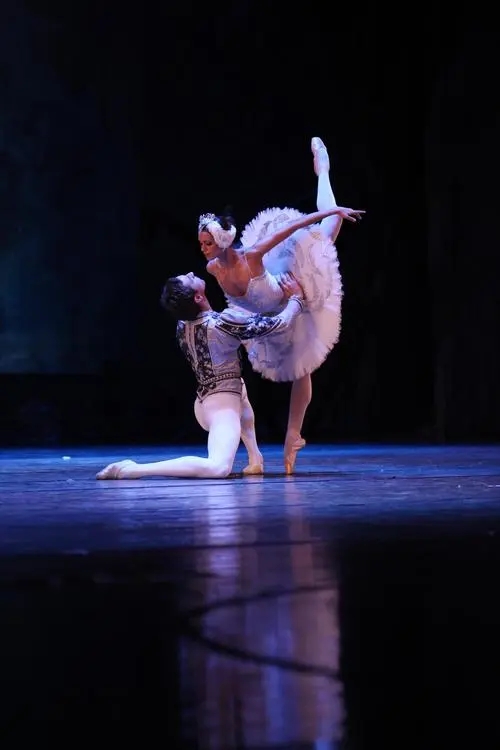 2023芭蕾舞剧《天鹅湖》太原站(10月26日-29日)(时间+地点+门票)信息一览 2023芭蕾舞剧《天鹅湖》太原站(10月26日-29日)(时间+地点+门票)信息一览