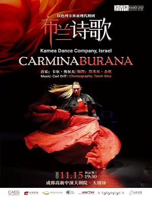 舞剧《布兰诗歌》成都站