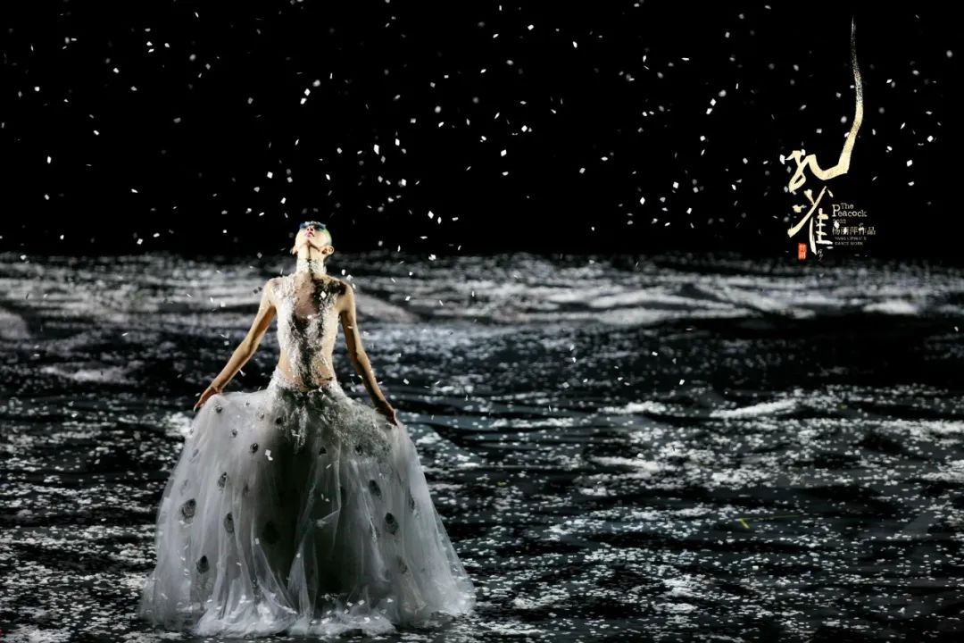2024舞剧《孔雀》北京站（1月18-20日）时间、地点、门票价格